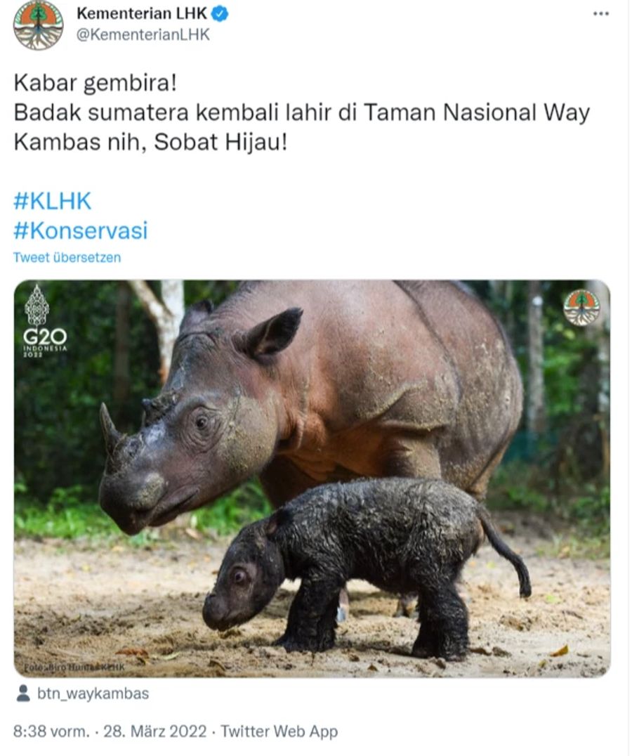 Auf Twitter teilt das indonesische Umweltministerium die schöne Nachricht mit.