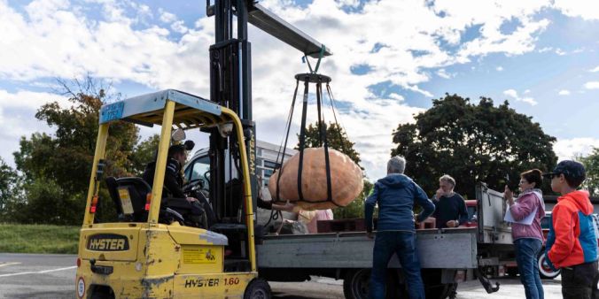 Schwertransport: Die Kürbisse wiegen bis zu 400 Kilos.