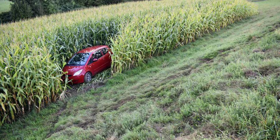 Auto landet im Maisfeld