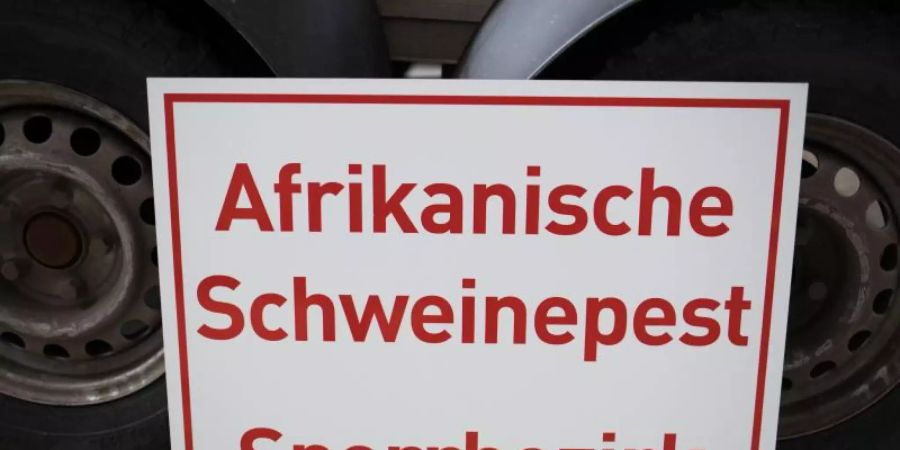 Afrikanische Schweinepest