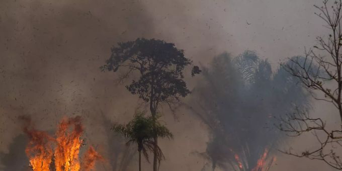 Ein Waldstück im Amazonas-Gebiet steht in Flammen. (Archivbild) Amazonas-Gebiet