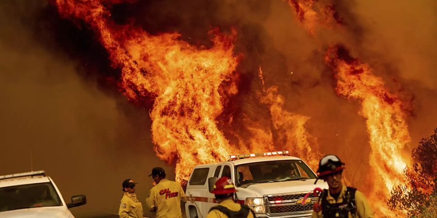 Feuerwehrkräfte versuchen das Feuer an der Butts Canyon Road im Lake County unter Kontrolle zu bringen. Foto: Noah Berger/AP/dpa