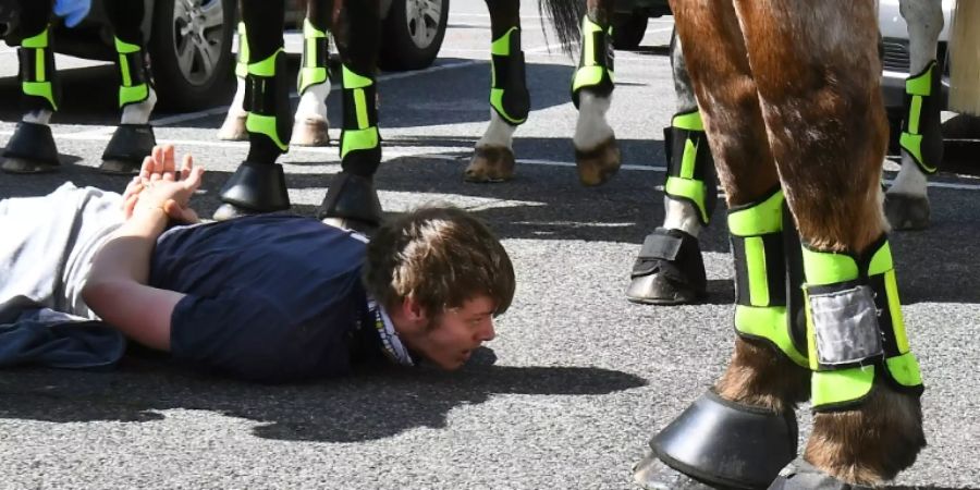 Festnahme von Demonstrant in Melbourne