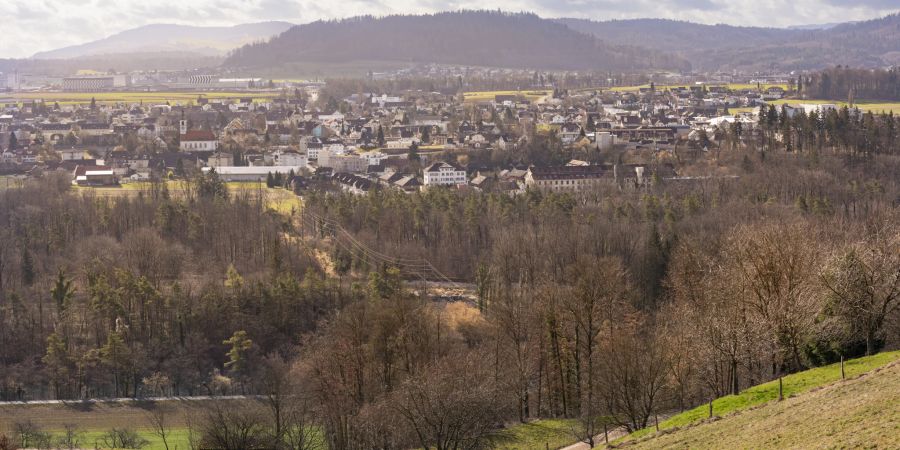 Blick auf die Gemeinde Rupperswil.