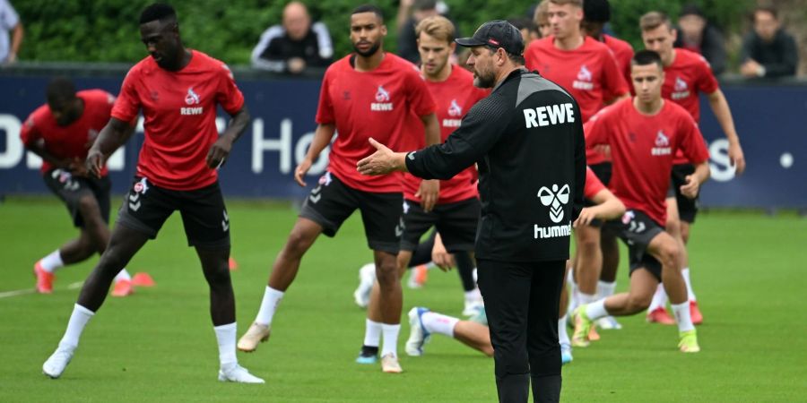 Trainer Steffen Baumgart und seine Kölner treffen am 18. und 25. August mit sehr hoher Wahrscheinlichkeit auf den Fehérvár FC aus Ungarn.