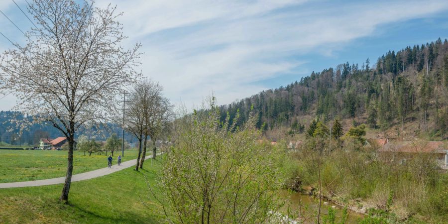 Das Flussufer an der Töss im Turbenthal.