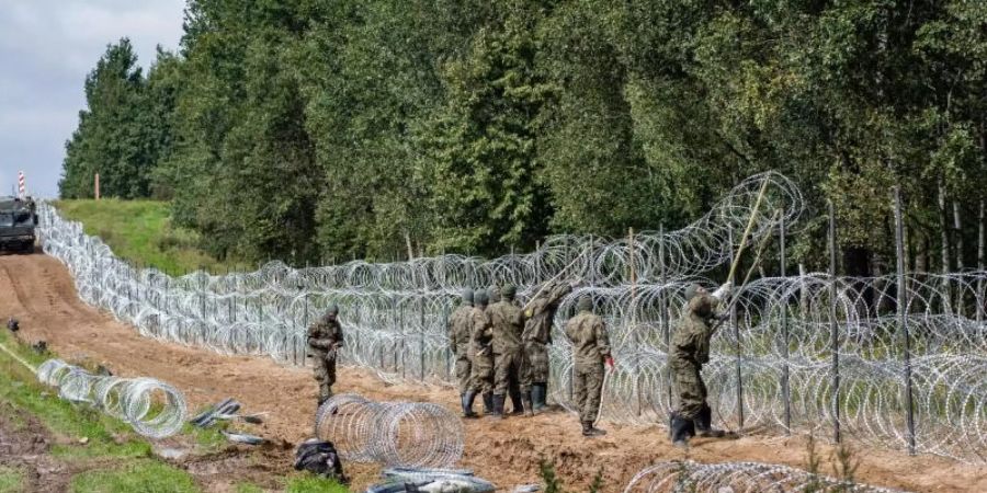 Polnische Soldaten errichten einen Stacheldrahtzaun entlang der Grenze zu Belarus. Immer häufiger kommen Migranten aus Krisengebieten über Belarus illegal nach Polen. Foto: Attila Husejnow/S