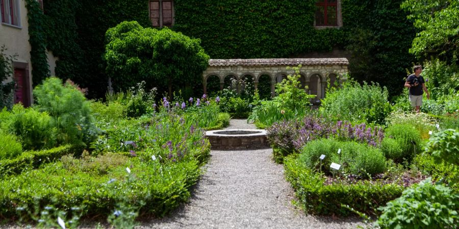 Ein Kräutergarten im Innenhof der St. Anna Kapelle in Schaffhausen.