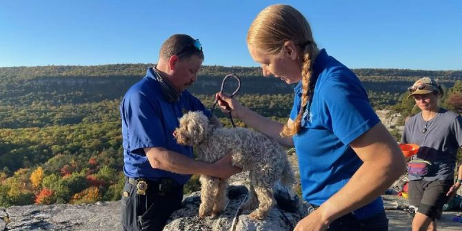 In Felsspalte gefangener Hund