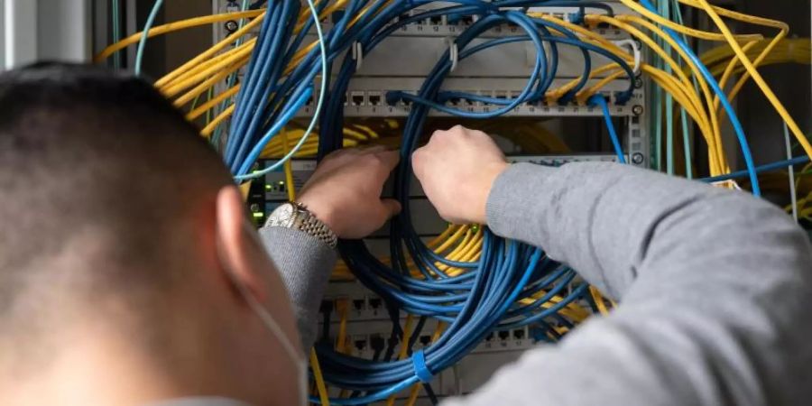 Ein Fachinformatiker in Ausbildung. Foto: Sebastian Gollnow/dpa
