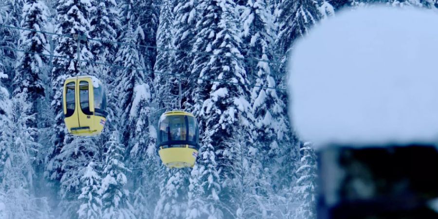 Österreich verschärft ab heute seine Einreisebestimmungen. Foto: Barbara Gindl/APA/dpa