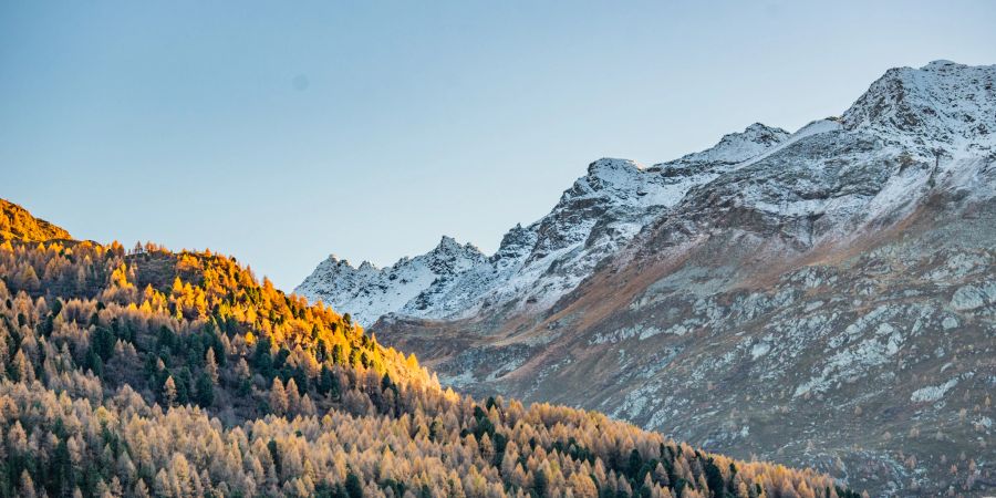 Landschaftsbild im Oberengadin. - Sils / Engadin