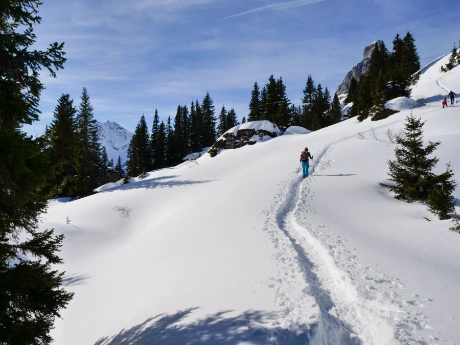 Braunwald Selmatt Schneewanderung