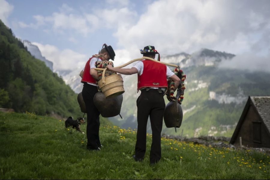 In der Schweiz kommt es immer wieder zu Beschwerden wegen Kuhglocken. (Archivbild)