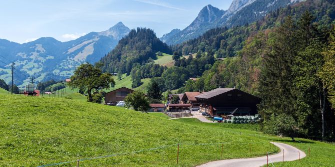 bauern
