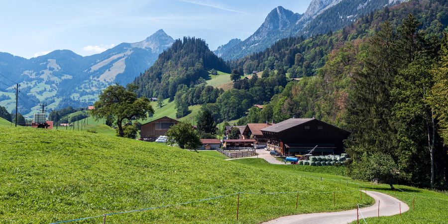 Bauernhof im Simmental. - Oberwil