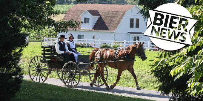 Von Amischen - Diebin stiehlt Pferd und Kutsche von Parkplatz