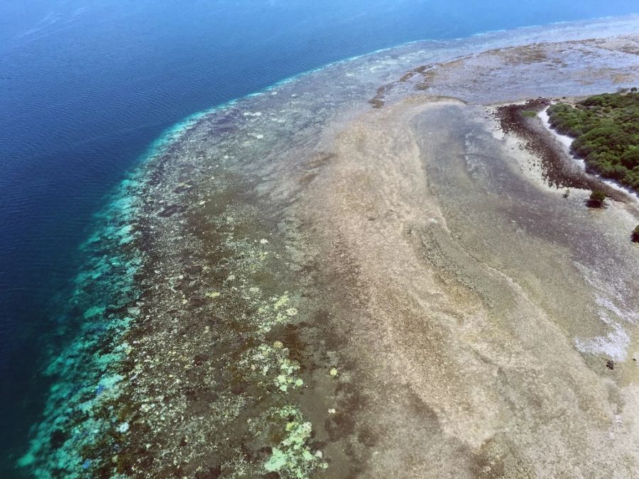 Am Great Barrier Reef wurde die fünfte Massenbleiche von Korallen innerhalb von acht Jahren entdeckt. Dabei werden die Korallen wie hier im Bild weiss. (Archivbild)