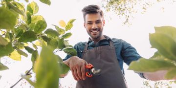 Mann mit Gartenschere