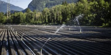 Feld wird bewässert