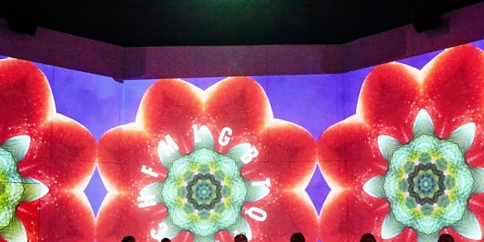Auf farbenfrohe und spielerische Art will das Stapferhaus im aargauischen Lenzburg das Thema «Geschlecht» ausleuchten. Stapferhaus