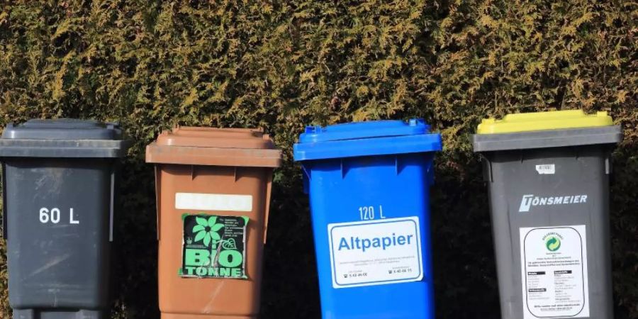 Tonnen für Hausmüll. Das Recycling stagniert in Deutschland. Foto: Jens Wolf/dpa-Zentralbild/dpa