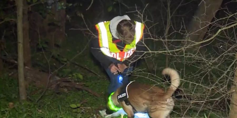 Ein Spürhund sucht nach einem vermissten Mann in Berlin. Nach dem Fund von Überresten eines seit rund zwei Monaten vermissten Mannes aus Berlin gibt es Hinweise auf Kannibalismus. Foto: -/Telenewsnetwork/dpa