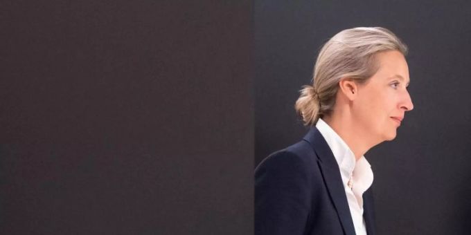 Eine alte Spendenaffäre um AfD-Fraktionschefin Alice Weidel wird der Partei nun zum Verhängnis. Foto: Marijan Murat/dpa Eine alte Spendenaffäre um AfD-Fraktionschefin Alice Weidel wird der Partei nun zum Verhängnis. Foto: Marijan Murat/dpa