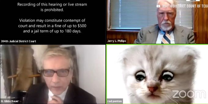 Der Anwalt erschien im Zoom-Meeting als weisse Katze.