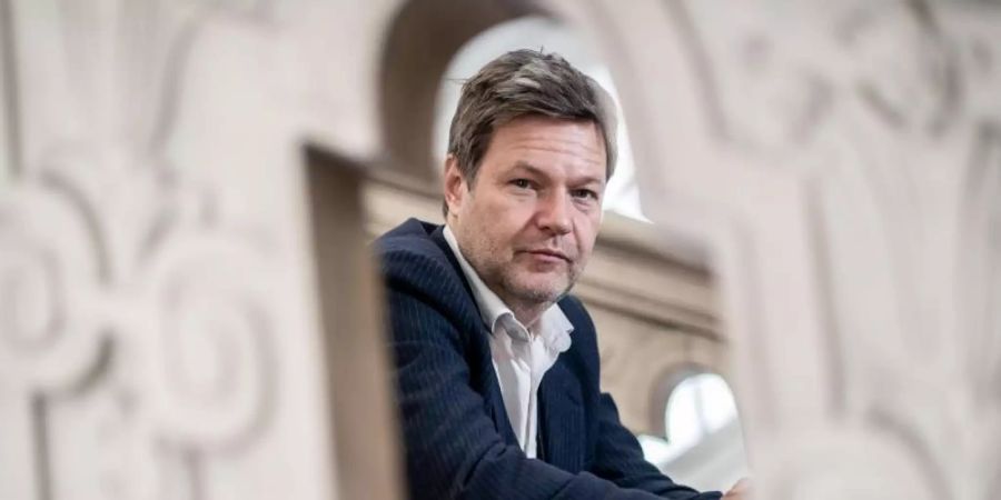Robert Habeck, Bundesvorsitzender von Bündnis 90/Die Grünen. Foto: Kay Nietfeld/dpa