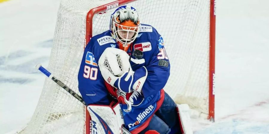 Torwart Felix Brückmann hielt seinen Kasten gegen die Straubing Tigers sauber. Foto: Uwe Anspach/dpa