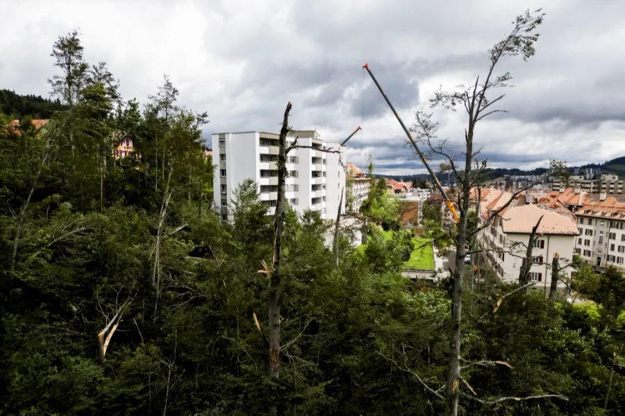 Die Bevölkerung wurde davor gewarnt, in die nähe von beschädigten Gebäuden oder in den Wald zu gehen.