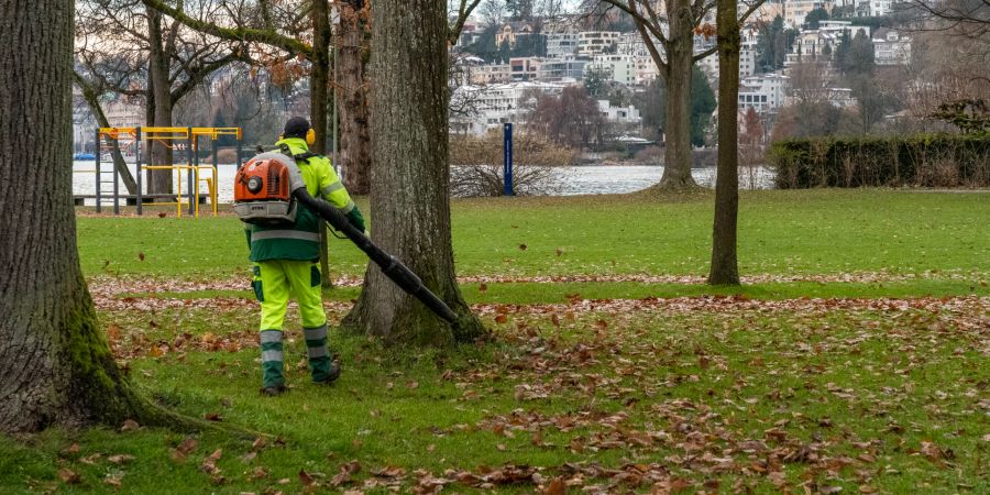 Rasenpflege bei der Lido Wiese in der Stadt Luzern.