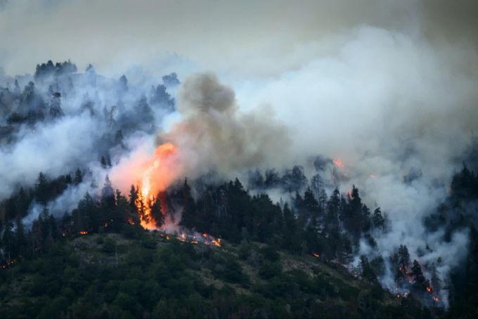 Waldbrand Bitsch VS