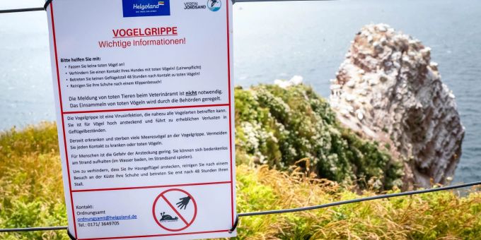 Ein Schild informiert über die Vogelgrippe auf der Hochseeinsel Helgoland. Ein Schild informiert über die Vogelgrippe auf der Hochseeinsel Helgoland.