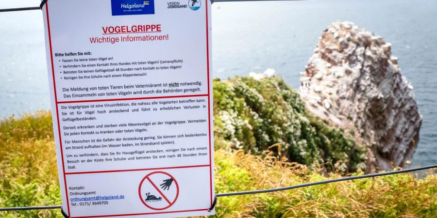 Ein Schild informiert über die Vogelgrippe auf der Hochseeinsel Helgoland.