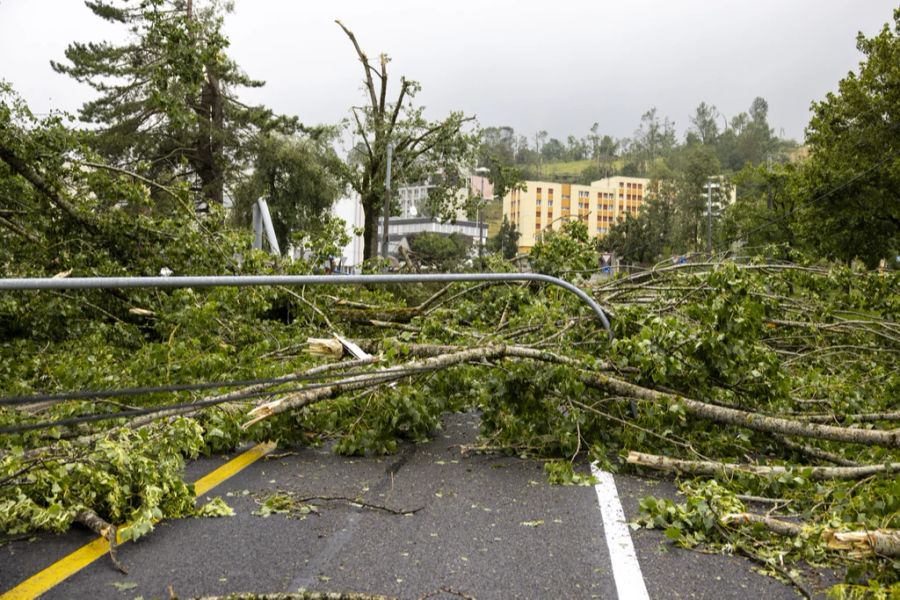 Der Sturm in La Chaux-de-Fonds richtete enorme Schäden an.