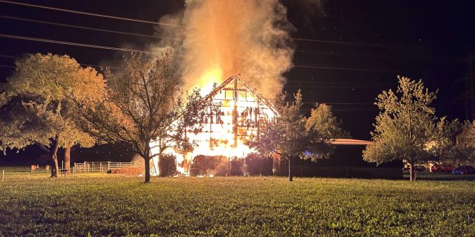 Feuer in Ingenbohl SZ - Sieben Tiere sterben bei Stallbrand