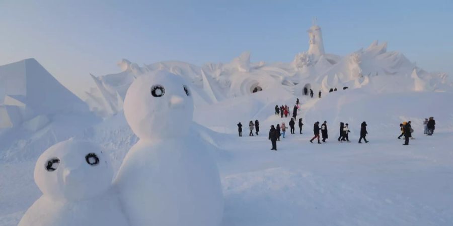 harbin Eisfestival