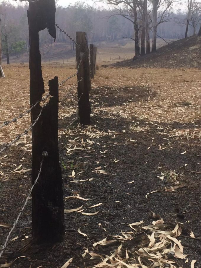 Rund 21 Kilometer Zaun hat es bei dem Buschfeuer verbrannt, die Kosten für den Wiederaufbau sind immens. Feuer Tribolet Australien