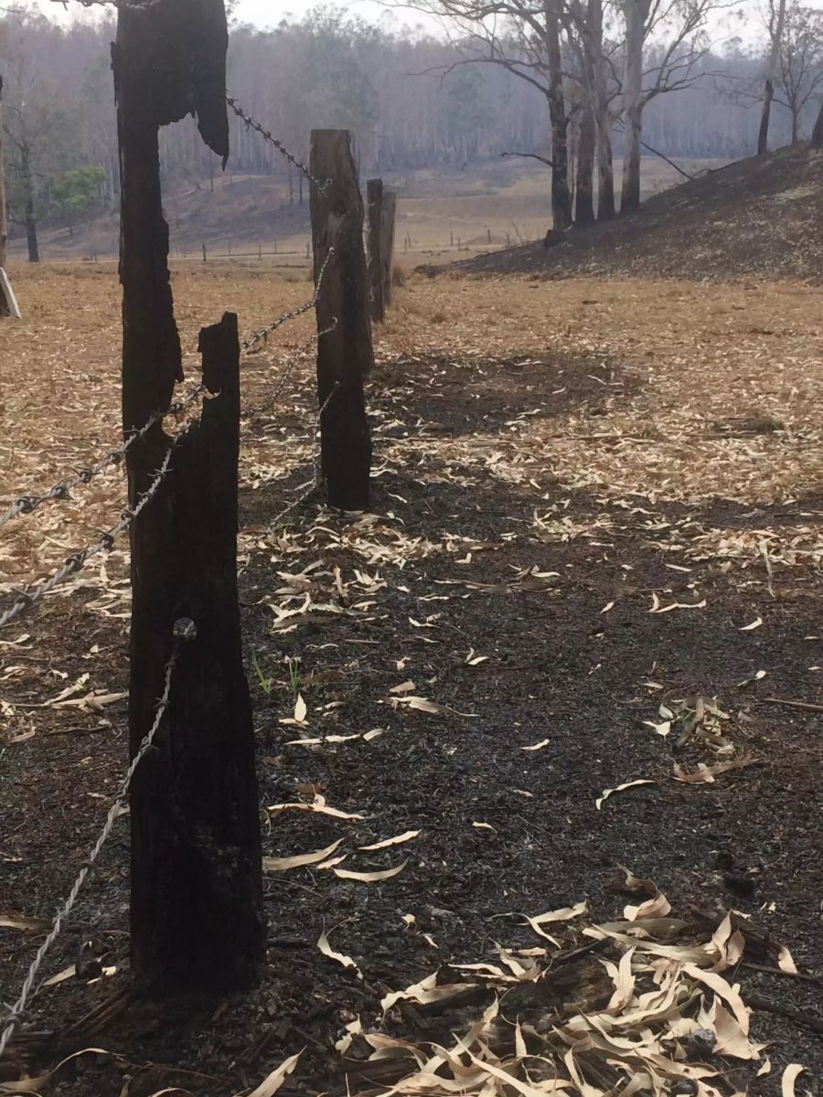 Feuer Tribolet Australien