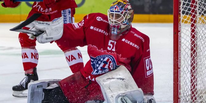 SC Rapperswil-Jona Lakers