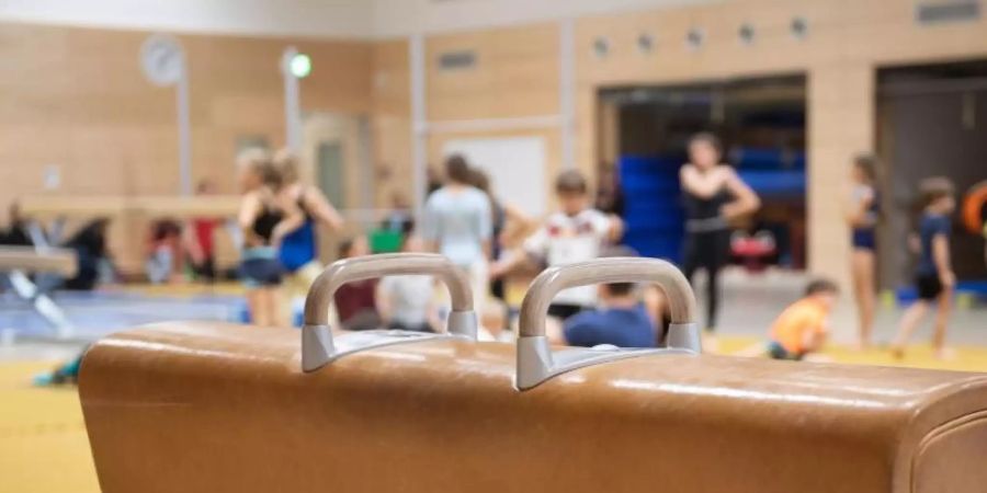 Ein Pauschenpferd steht in der Sporthalle einer Grundschule. Der Deutsche Lehrerverband hat sich gegen Veränderungen am Sportunterricht ausgesprochen. Foto: Sebastian Kahnert/zb/dpa