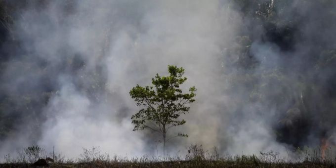 Die Waldbrände im Amazonas sanken im Oktober auf ein Rekordtief. Waldbrand im Amazonas