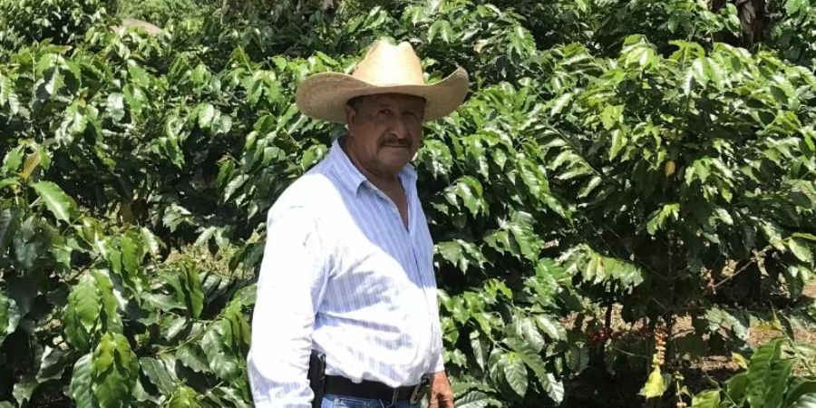 Der Kaffeebauer Jose de Leon steht auf einer Plantage im guatemaltekischen Department San Marcos. Wegen des niedrigen Weltmarktpreises sehen die Erzeuger ihre Existenz gefährdet. Viele versuchen, in die USA auszuwandern. Foto: Nick Kaiser