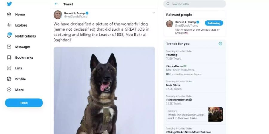 hund baghdadi