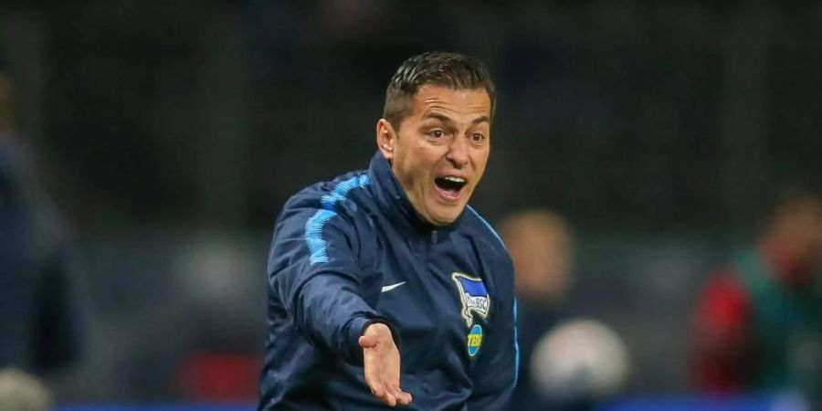 Kassierte mit Hertha BSC drei Niederlagen nacheinander: Cheftrainer Ante Covic schreit vom Spielfeldrand aus. Foto: Andreas Gora/dpa