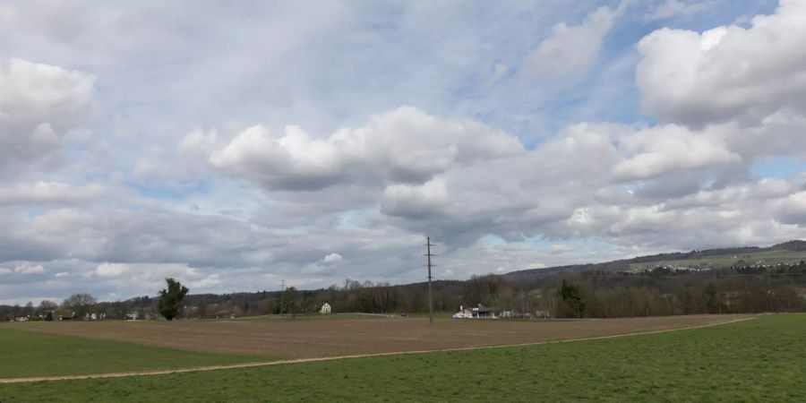 Landschaftsaufnahmen bei Niederwil.