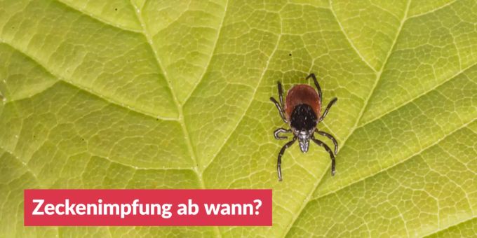«Frage des Tages» - Zeckenimpfung ab wann?