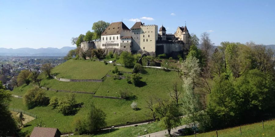 Sicht vom Goffersberg "Gofi" auf das Schloss Lenzburg.